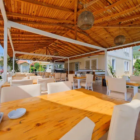 Larimar Ολουντενίζ