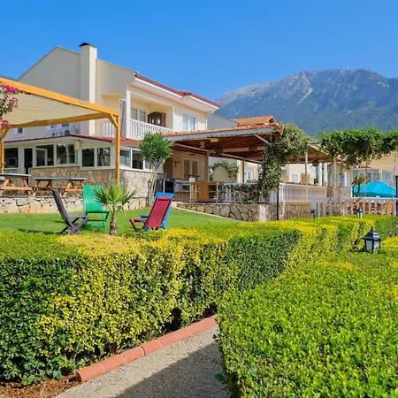 Larimar オルデニズ